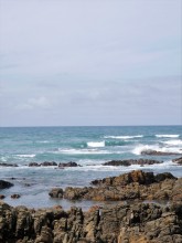 Le Cap des Aiguilles ou la rencontre de 2 océans